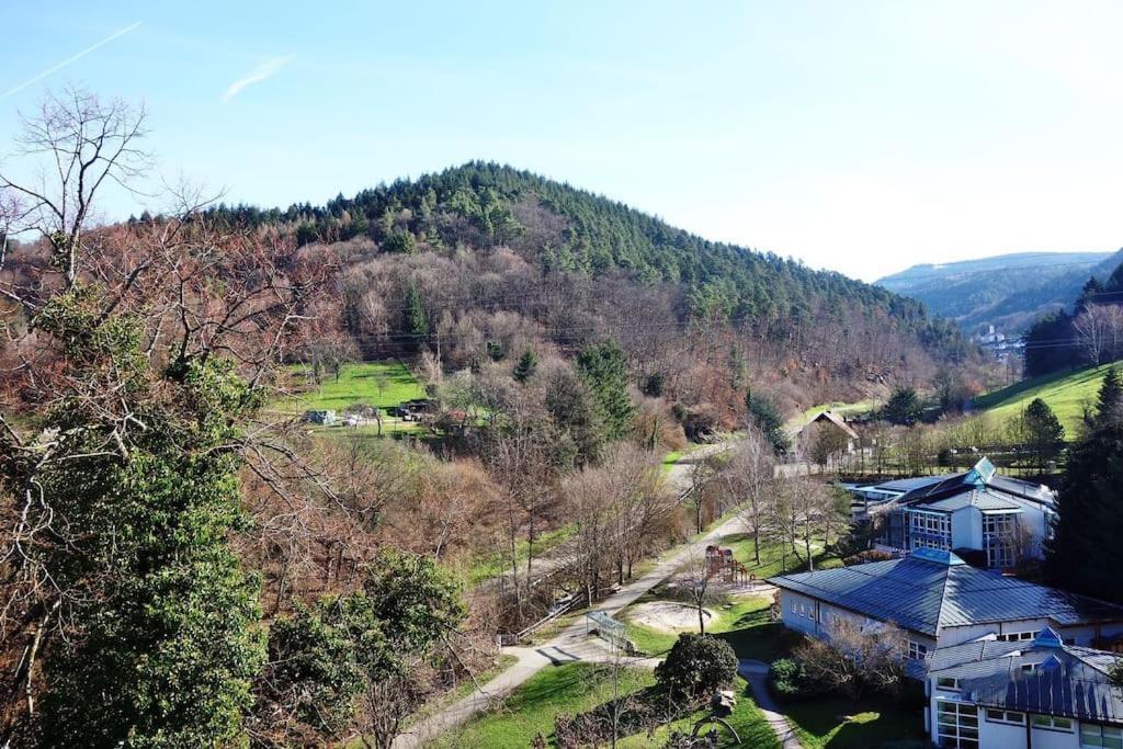 With Panoramic Views In The Black Forest Apartment